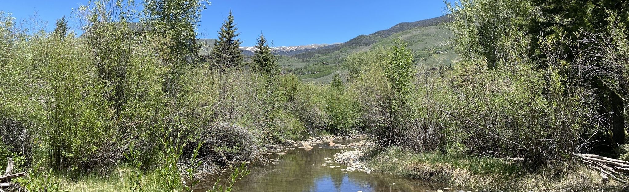 Silverthorne Blue River Trail 227 Reviews, Map Colorado AllTrails