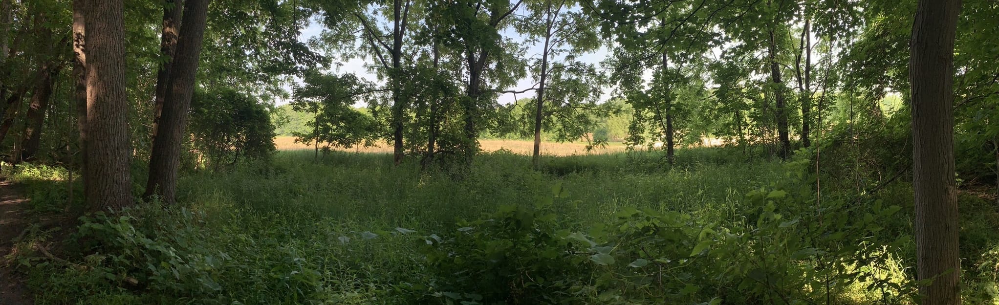 Woodend Conservation Area Ontario, Canada AllTrails