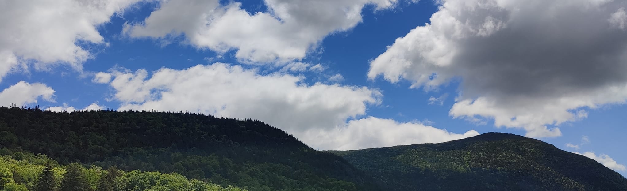 Mount Jackson and Mount Pierce via ster Jackson Trail and Crawford