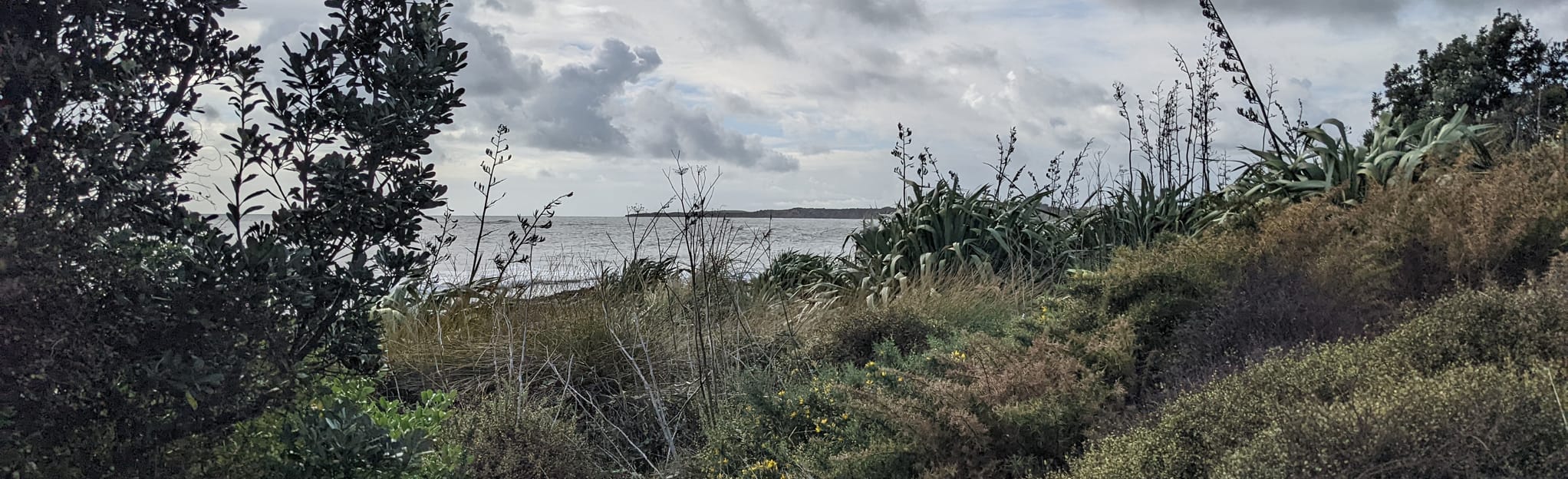 Walkway to Bell Block Beach Loop: 12 Reviews, Map - Taranaki, New ...