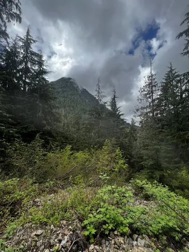 10 Best Hikes and Trails in Boulder River Wilderness AllTrails