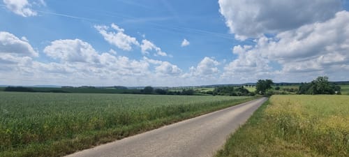 Keine Gnade für die Wade! (2022, 30km)