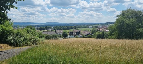 Keine Gnade für die Wade! (2022, 30km)
