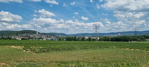 Keine Gnade für die Wade! (2022, 30km)