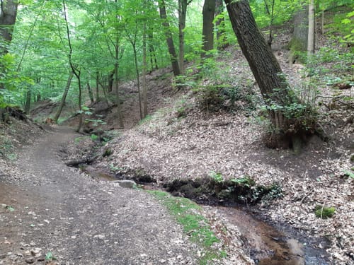 Dreizehn-Brücken-Weg
