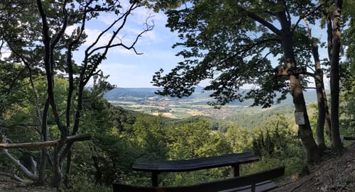 Mainzer Köpfe P12 (Premiumwanderweg)