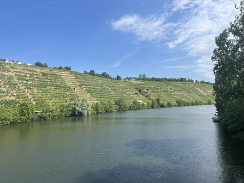 Hauptbahnohf - Max-Eyth-See - Killesberg