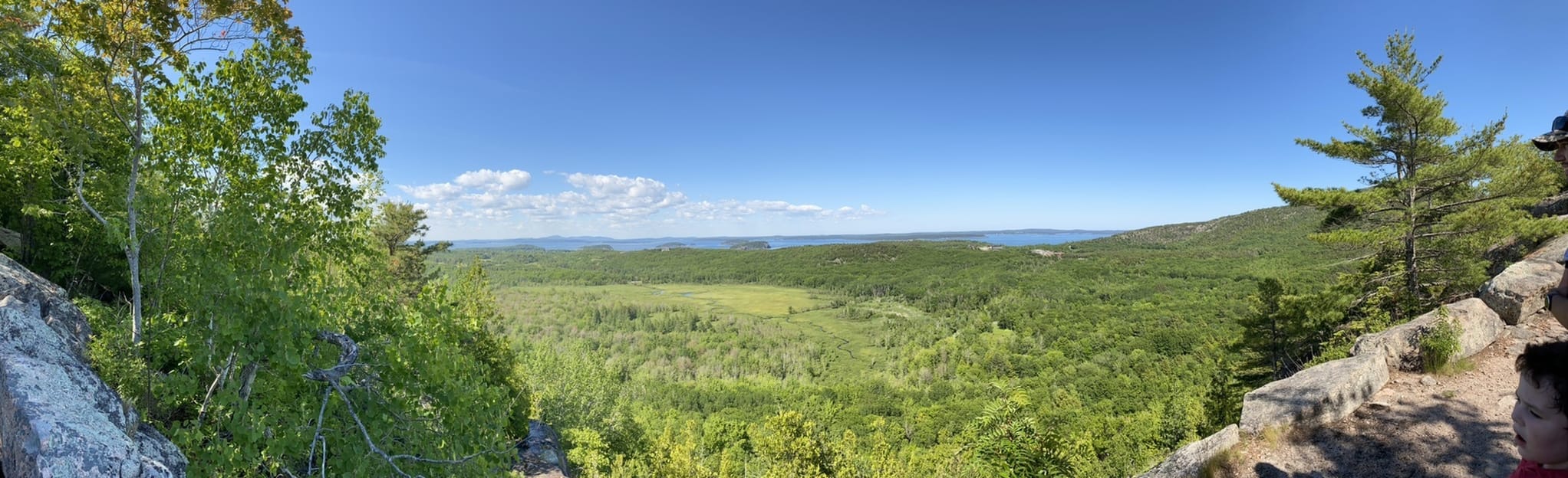 Homans Path: 5 Reviews, Map - Maine | AllTrails