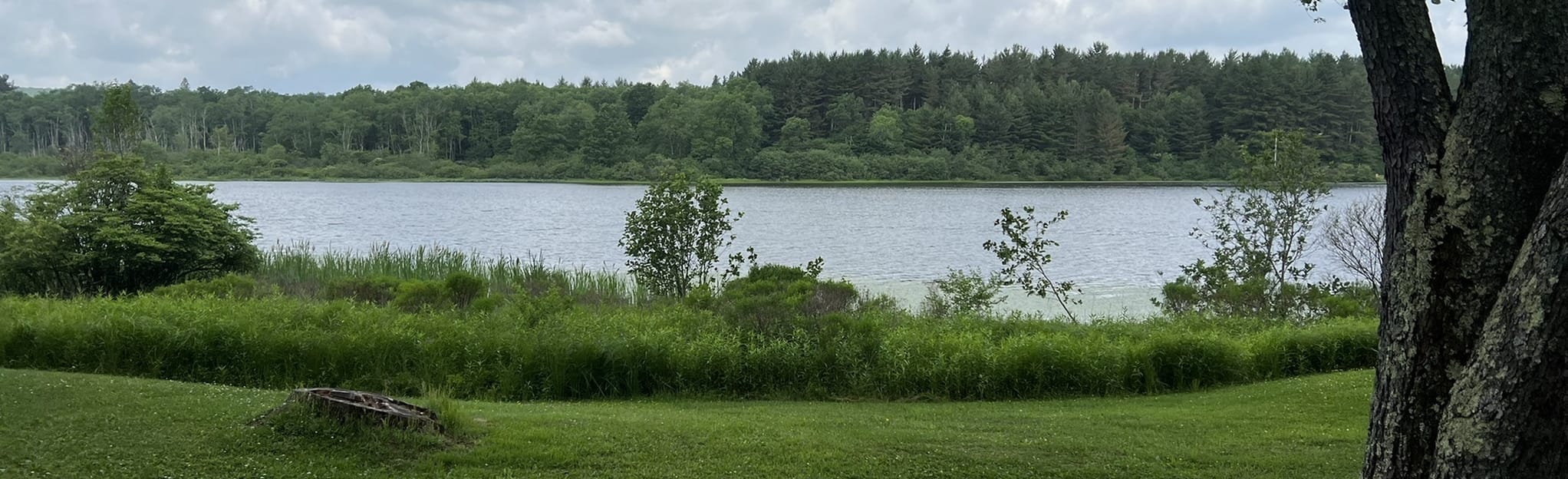 Herrington Manor Park Loop Maryland AllTrails