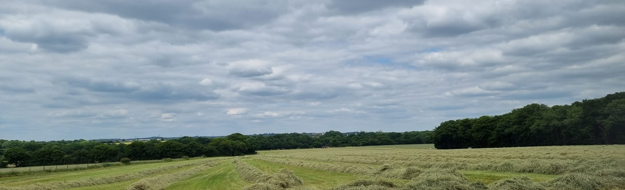 Norton Green Langley Circular, Hertfordshire, England 7 Reviews