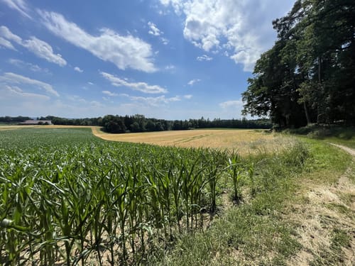Michaels-Weg