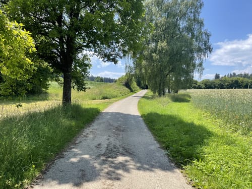 Michaels-Weg