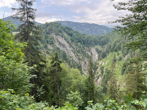 Zur Königsalm