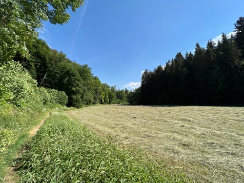 Wüstenstein - Krämersloch - Fuchsloch - Lindenbrunnenhöhle