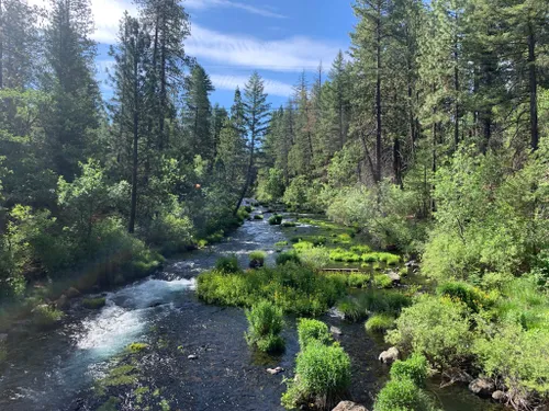 Best Hikes and Trails in McArthur-Burney Falls Memorial State Park ...