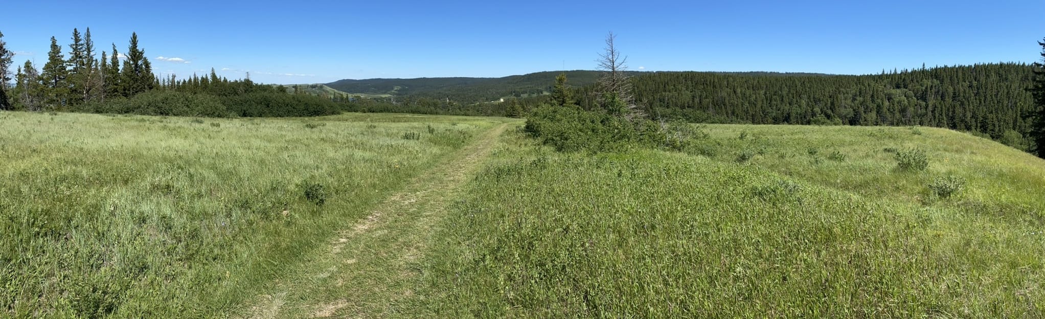 Horseshoe Canyon Trail, Alberta, Canada 154 Reviews, Map AllTrails