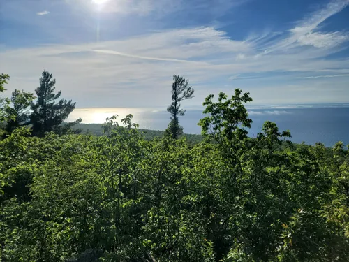 are dogs allowed at porcupine mountains state park