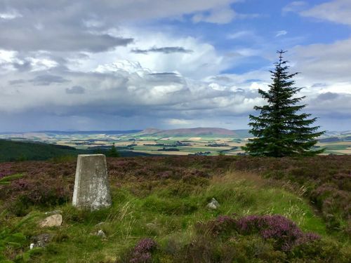 Suie Old Military Road and Knock Saul Circular: 28 fotos - Aberdeenshire,  Escócia