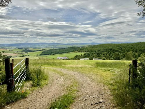 Suie Old Military Road and Knock Saul Circular: 28 fotos - Aberdeenshire,  Escócia