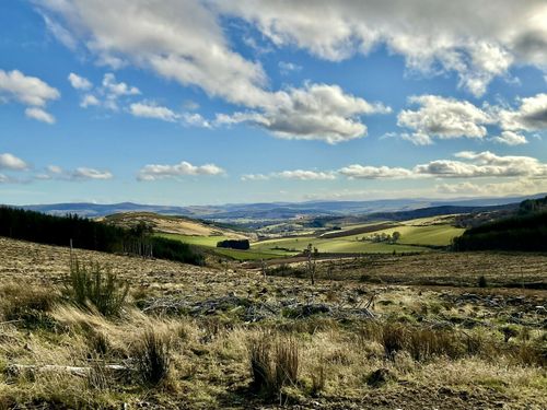 Suie Old Military Road and Knock Saul Circular: 28 fotos - Aberdeenshire,  Escócia