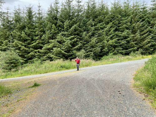 Suie Old Military Road and Knock Saul Circular: 28 fotos - Aberdeenshire,  Escócia