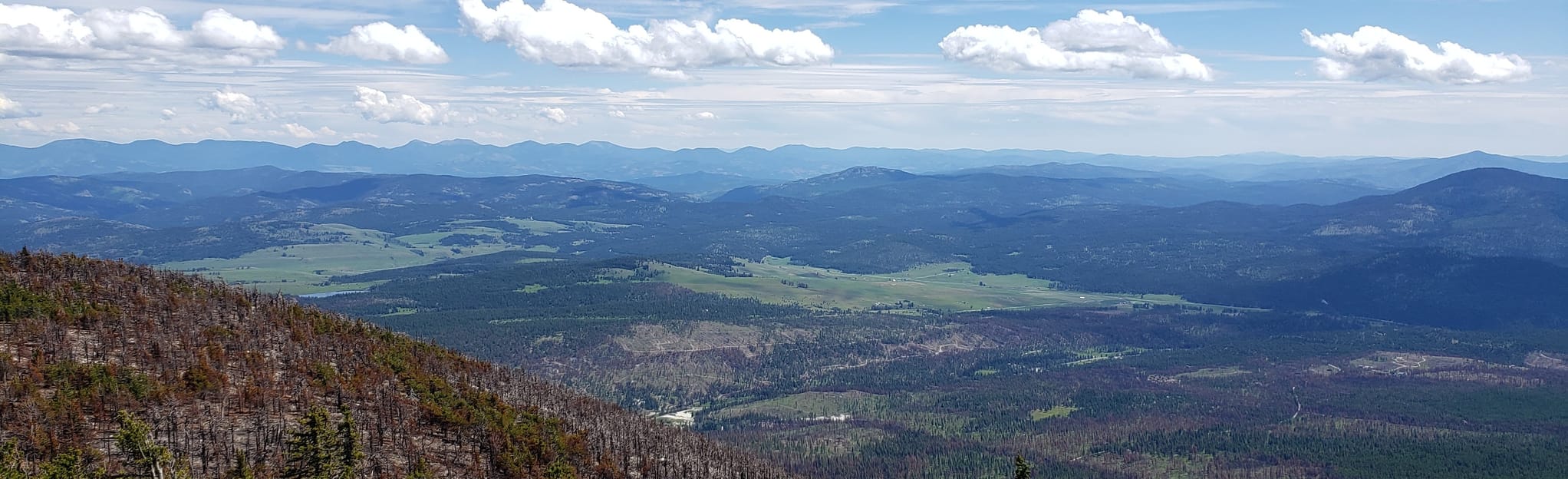 Mount Bonaparte Trail Washington AllTrails