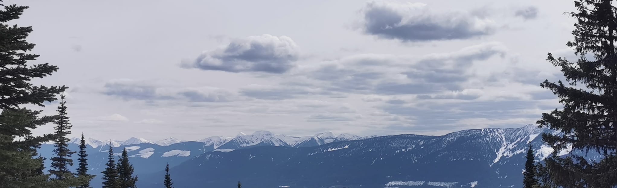 Red Mountain Trail 5 Reviews, Map British Columbia, Canada AllTrails