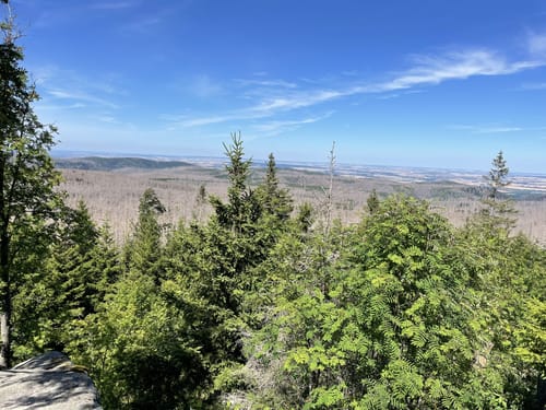 Brocken via Heinrich-Heine-Weg