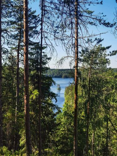 2023 Best 10 Trails and Hikes in Pälkäne | AllTrails