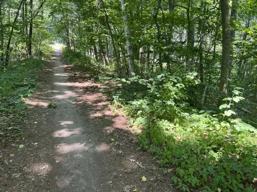 Best Hikes and Trails in Billerica State Forest | AllTrails