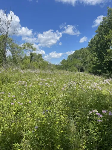 2023 Best Wild Flowers Trails In Anamosa Alltrails 3790