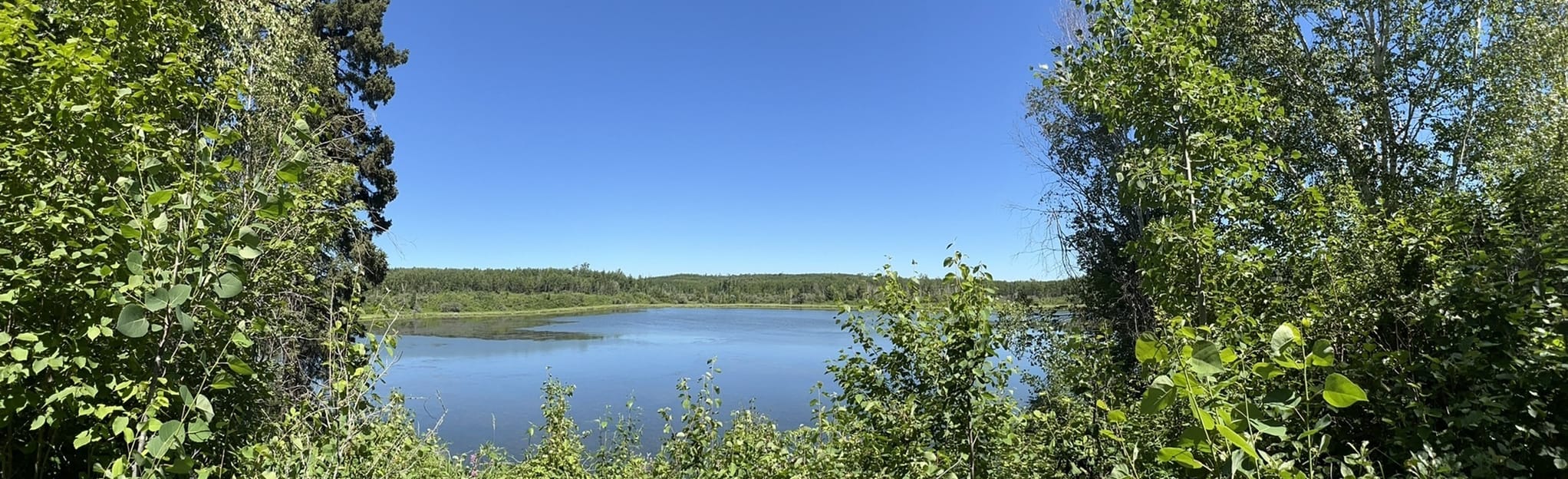 Central Alleyway Trail Winter Lost Lake, Alberta, Canada 19