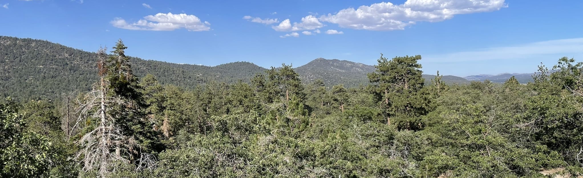 Grays Peak Trail 1,010 Reviews, Map California AllTrails