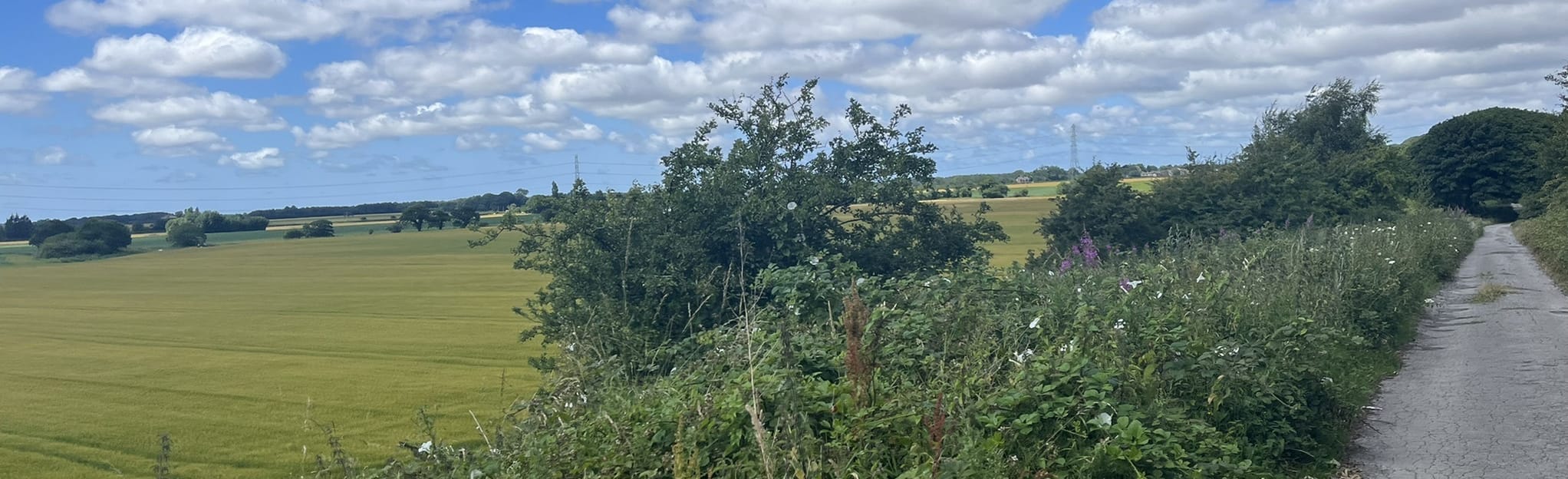 Bickerstaffe Circular, Lancashire, England 6 Reviews, Map AllTrails