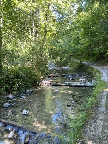 Von Weiler zum Naturschutzgebiet Trogener Moore