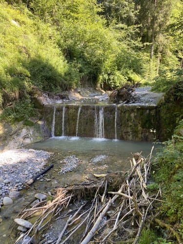 Von Weiler zum Naturschutzgebiet Trogener Moore