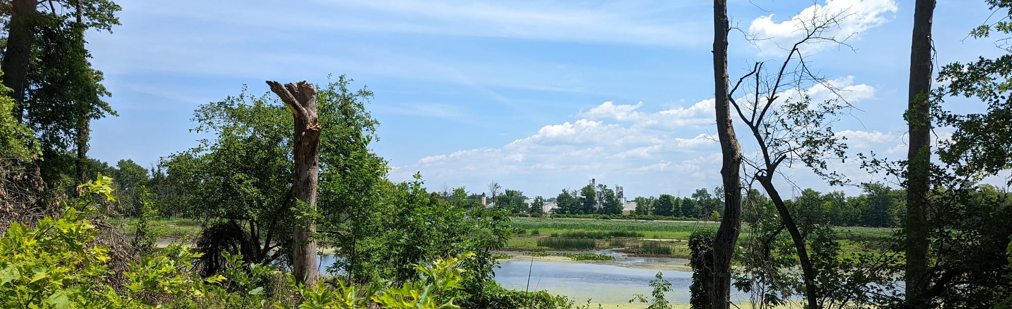 Zimmerman Trail, Ohio 146 Reviews, Map AllTrails