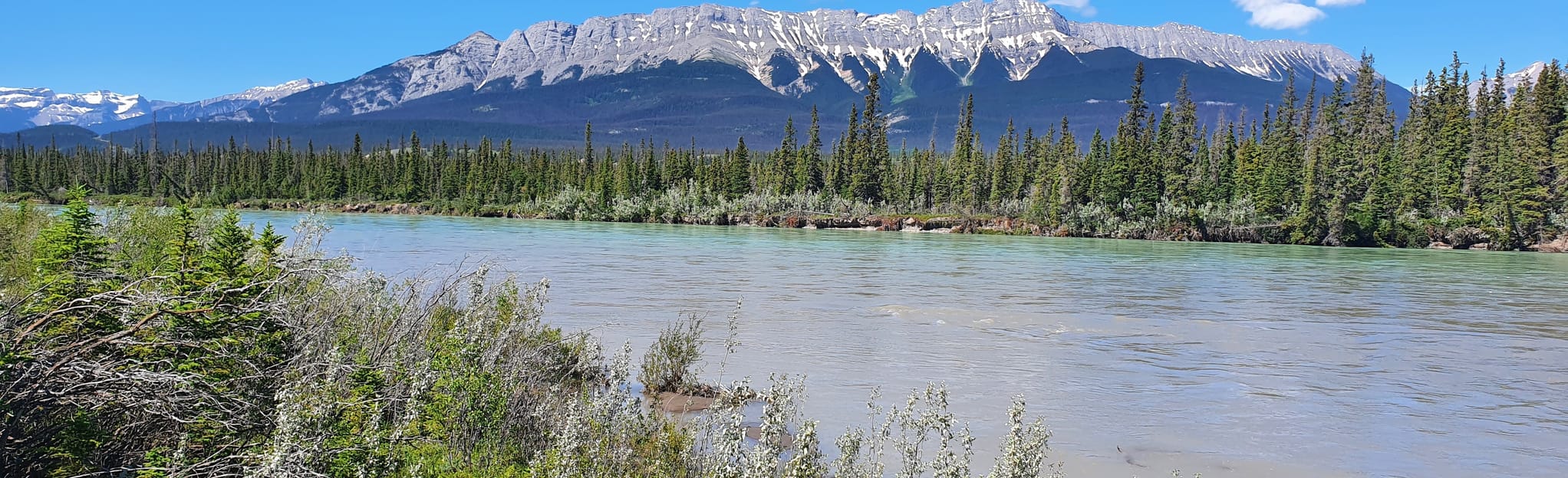 Point de vue de Jasper House, 62 Photos Alberta, Canada AllTrails