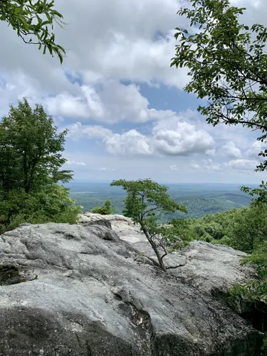 Best 10 Hiking Trails in Cumberland Trail State Park | AllTrails