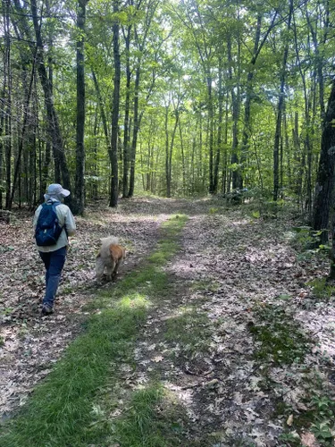 Best Hikes and Trails in Holderness Nordic Trails | AllTrails