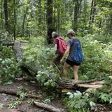 Loggers, S. James Campbell, and Ivy Hill Trail Loop, Maryland - 514 ...