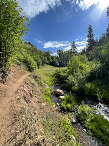 10 Best Trails and Hikes in Mapleton | AllTrails