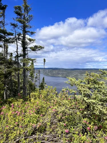 Best Hikes and Trails in Port Cartier Sept les Wildlife Reserve