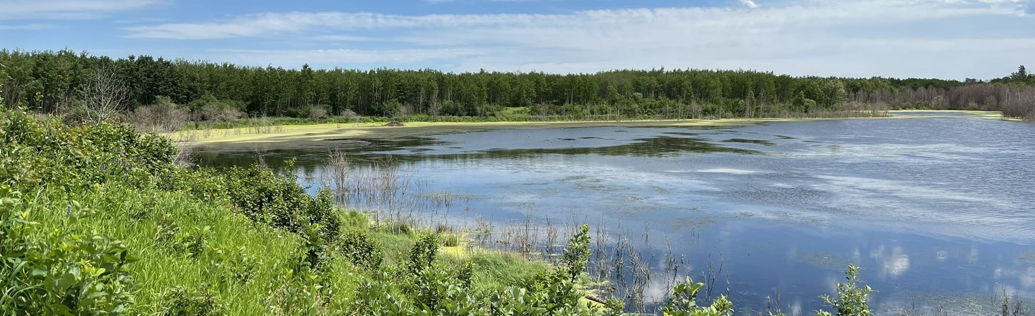 Shirley Lake, Paul Lake and Oster Lake, Alberta, Canada 334 Reviews