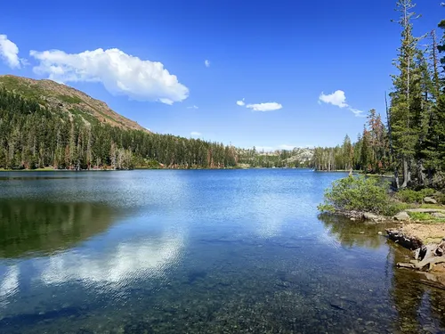 Tahoe National Forest - Fishing:River and Stream Fishing