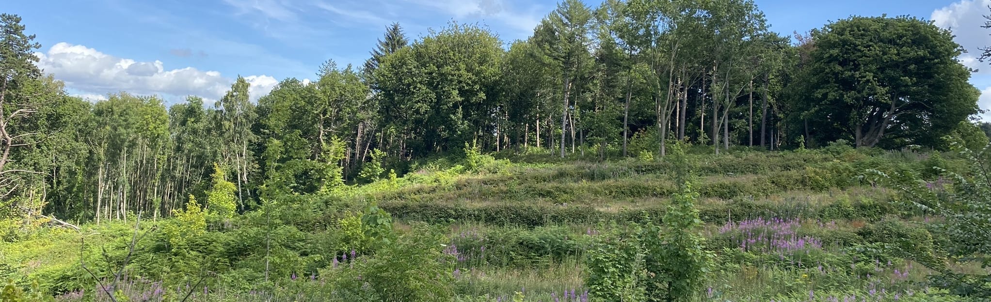 Hawarden Park Circular [PRIVATE PROPERTY], Flintshire, Wales 100