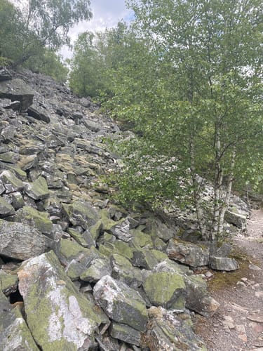 Saar-Hunsrück-Steig Etappe 11: Morbach - Kempfeld