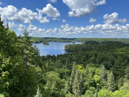 Algonquin park hiking trails best sale