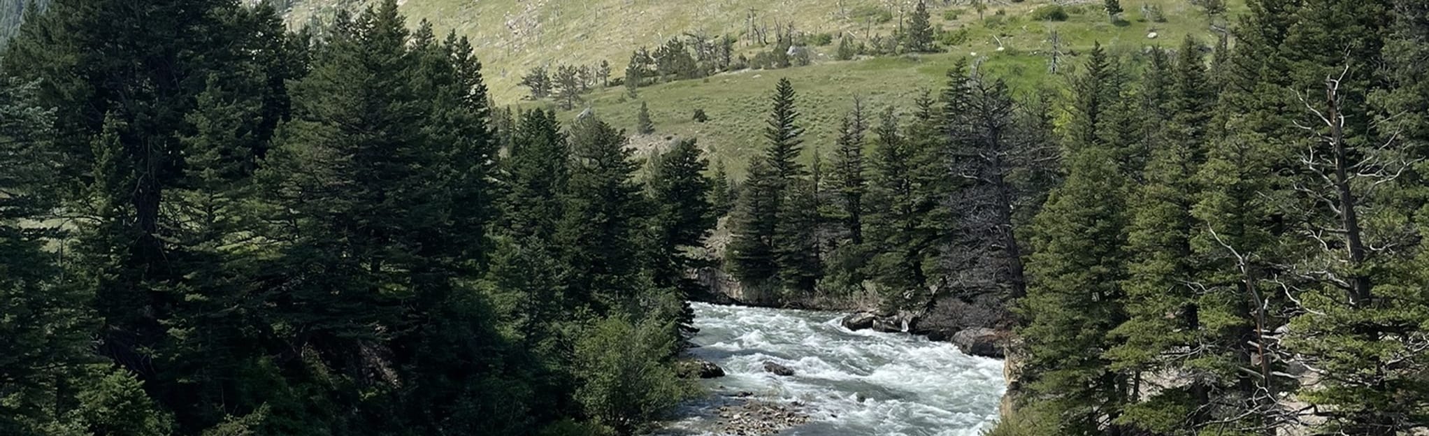 Natural Bridge Falls, Montana 110 Reviews, Map AllTrails