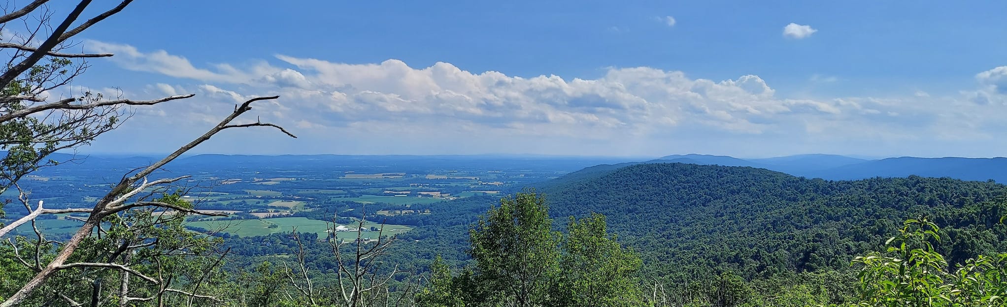 Dahlgren Camp to Bear Spring Cabin - EyJidWNrZXQiOiJhc3NldHMuYWxsdHJhaWxzLmNvbSIsImtleSI6InVwbG9hZHMvcGhvdG8vaW1hZ2UvNDk0OTQ2MzAvOWViYjZhMjFmYjdiNmRlZWMyMmYyY2Y1MTgxZDg0MjUuanBnIiwiZWRpdHMiOnsidG9Gb3JtYXQiOiJqcGVnIiwicmVzaXplIjp7IndpZHRoIjoyMDQ0LCJoZWlnaHQiOjYyNCwiZml0IjoiY292ZXIifSwicm90YXRlIjpudWxsLCJqcGVnIjp7InRyZWxsaXNRdWFudGlzYXRpb24iOnRydWUsIm92ZXJzaG9vdERlcmluZ2luZyI6dHJ1ZSwib3B0aW1pc2VTY2FucyI6dHJ1ZSwicXVhbnRpc2F0aW9uVGFibGUiOjN9fX0=